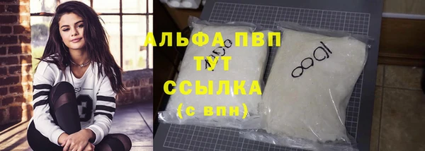 стаф Баксан