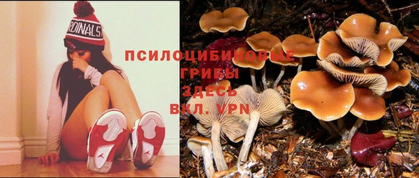 бошки Балахна