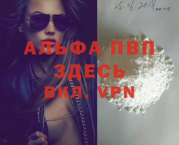 стаф Баксан