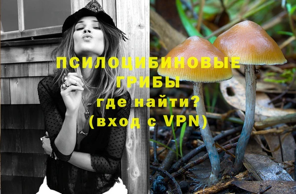 стаф Баксан