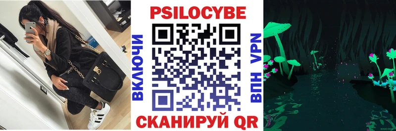 Псилоцибиновые грибы GOLDEN TEACHER  сколько стоит  OMG tor  Чехов 